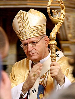 Cardinal Peter Erdő